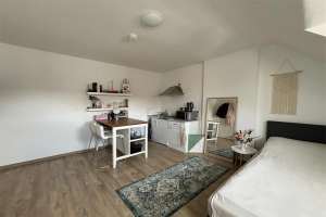 For rent: Studio Scharnerweg, Maastricht - 1