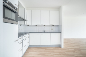 For rent: Apartment Prins Willem-Alexanderweg, Den Haag - 1