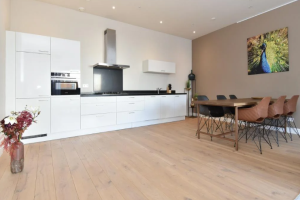 Te huur: Appartement Bagijnestraat, Den Haag - 1