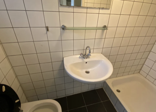 For rent: Apartment Blazoenstraat, Tilburg - 3