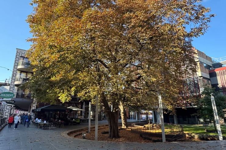 For rent: Apartment Raadhuishof, Nijmegen - 3