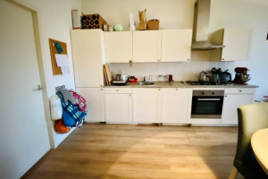 Te huur: Appartement Noordsingel, Rotterdam - 1