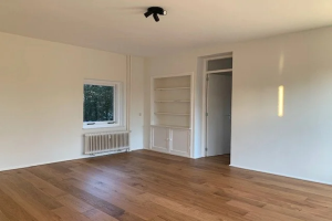 For rent: Apartment Hart Nibbrigkade, Den Haag - 1