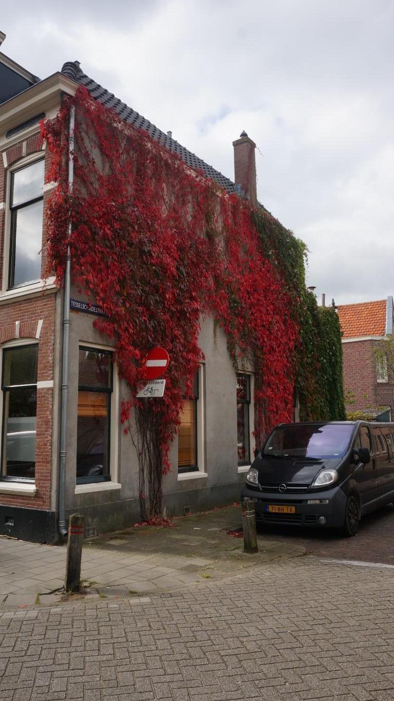 Te huur: Woning Prins Hendrikstraat, Alkmaar - 29