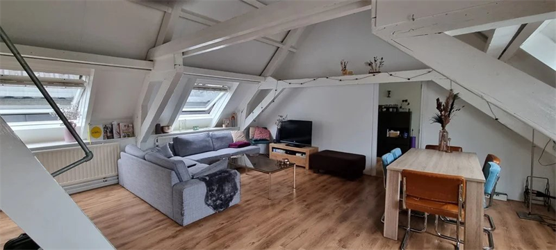 Te huur: Appartement Donkere Spaarne, Haarlem - 7