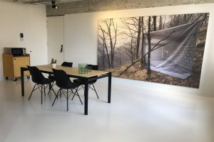 Te huur: Appartement Professor Pieter Willemsstraat, Maastricht - 1