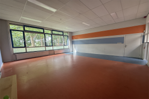 Te huur: Studio Laagzijde, Marknesse - 1