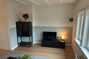 For rent: Apartment Bijleveldsingel, Nijmegen - 1
