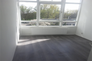 Te huur: Appartement Ellewoutsdijkstraat, Rotterdam - 1