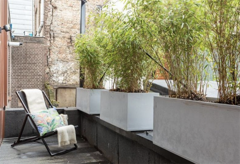 Te huur: Appartement Bagijnestraat, Den Haag - 3