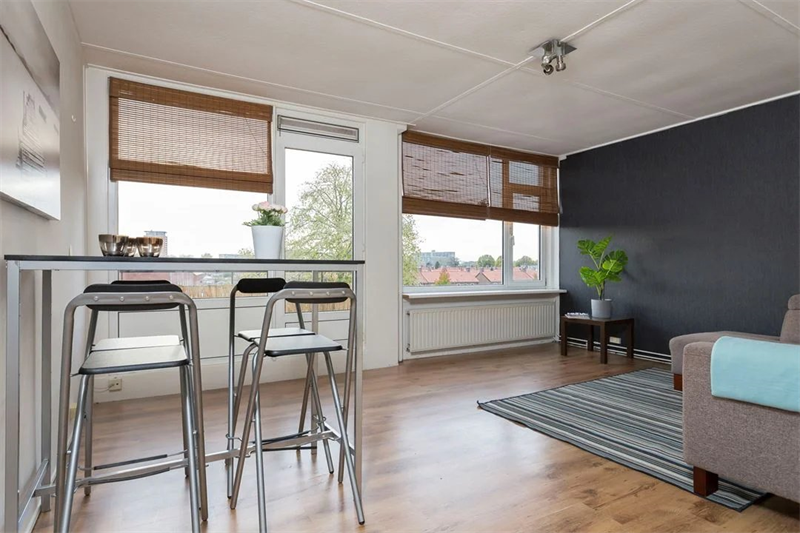 For rent: Apartment Lisdoddelaan, Arnhem - 2