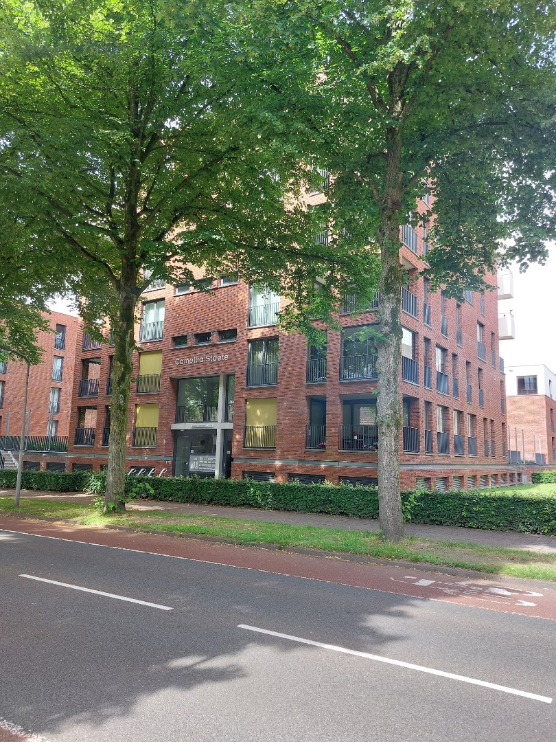 Te huur: Appartement Graafschap Hornelaan, Weert - 2