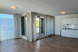 Te huur: Appartement Biesterweg, Eindhoven - 1