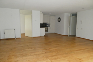 For rent: Apartment IJsvogel, Vught - 1