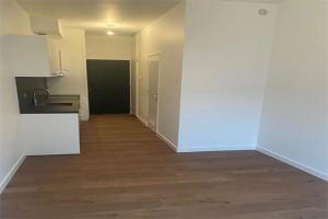 For rent: Studio Arnold Spoelplein, Den Haag - 1