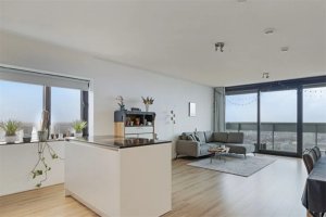 Te huur: Appartement Anna van Buerenplein, Den Haag - 1