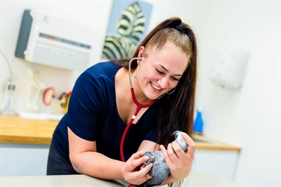 Impression of the tenant