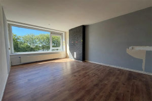 For rent: Apartment Spinozaweg, Rotterdam - 1