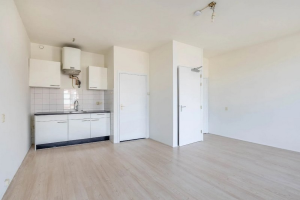 Te huur: Appartement Nieuwe Binnenweg, Rotterdam - 1