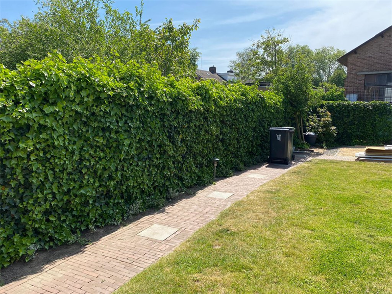 Te huur: Appartement Kenzenstraat, Steyl - 2