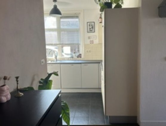 Te huur: Appartement Molenweg, Nijmegen - 1