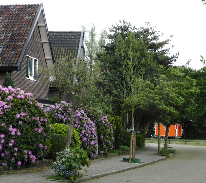 Kamer te huur in de Weverstraat in Apeldoorn