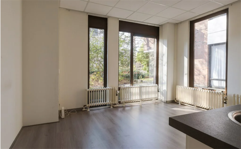 Te huur: Appartement Trompsingel, Groningen - 10