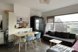 For rent: Apartment Hoge Rijndijk, Leiden - 1