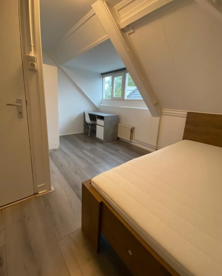 For rent: Room Laaressingel, Enschede - 7