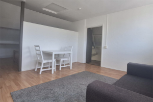 For rent: Apartment Oscar Leeuwstraat, Tilburg - 1
