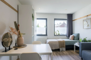 For rent: Apartment Beukenlaan, Eindhoven - 1