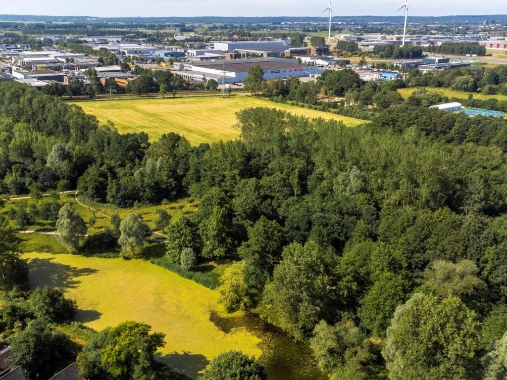 For rent: House Klingelbeek, Ede - 27