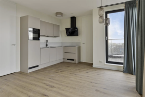 For rent: Apartment Niemeyerstraat, Hoofddorp - 1