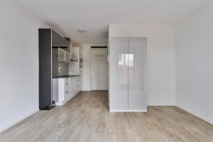 Te huur: Studio Ina Boudier-Bakkerlaan, Utrecht - 1
