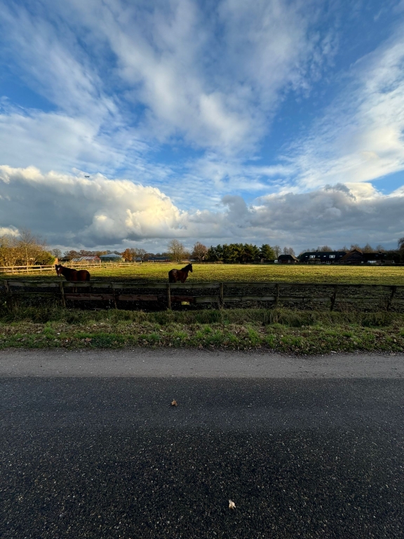 For rent: House Zijtaartseweg, Sint-Oedenrode - 31