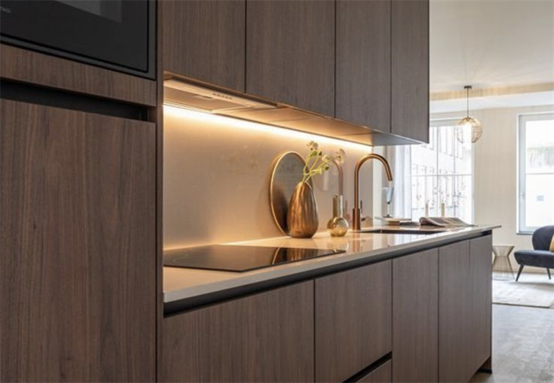 Te huur: Appartement Bagijnestraat, Den Haag - 2