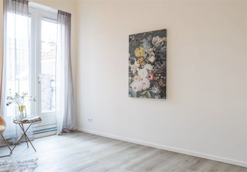 Te huur: Appartement Bagijnestraat, Den Haag - 7