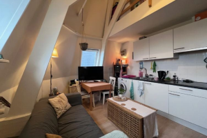 For rent: Studio Maliestraat, Utrecht - 1