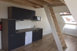 For rent: Studio Hommelseweg, Arnhem - 1