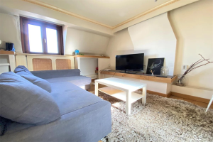 For rent: Studio Herbenusstraat, Maastricht - 1