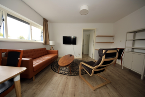 For rent: Apartment Rooseveltstraat, Leiden - 1