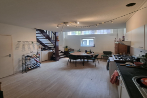 For rent: Apartment Wilhelminapark, Tilburg - 1