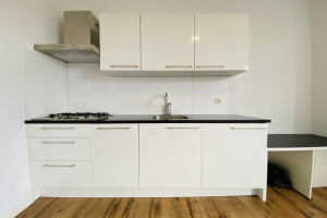 Te huur: Studio Larensestraat, Den Haag - 1