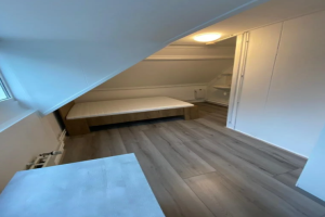 For rent: Room Laaressingel, Enschede - 1