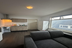 For rent: Studio Elsweg, Apeldoorn - 1