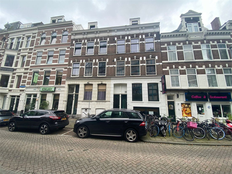 For rent: Apartment Diergaardesingel, Rotterdam - 9