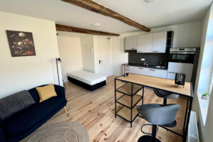 For rent: Studio Jekerstraat, Maastricht - 1
