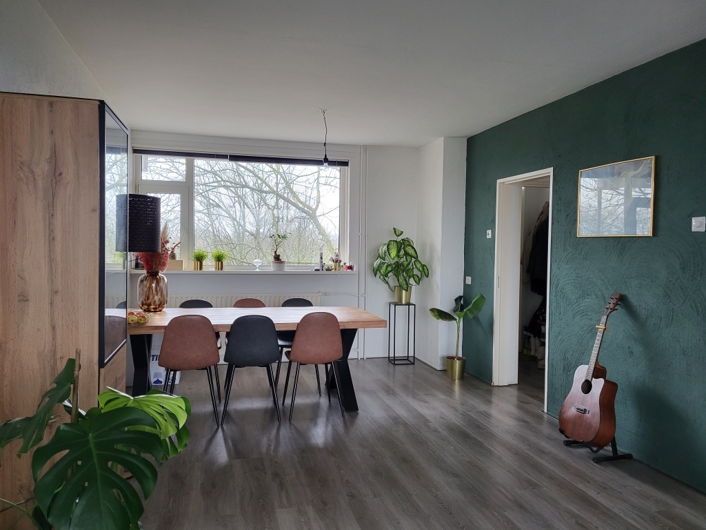 For rent: Apartment Maassingel, Den Bosch - 3