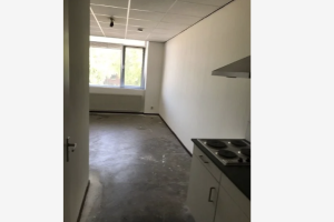 Te huur: Studio Wittebollestraat, Tilburg - 1