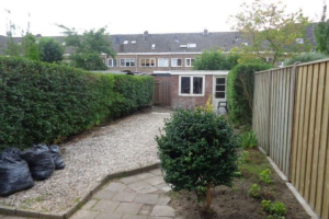 Te huur: Kamer Musschenbroekstraat, Eindhoven - 1